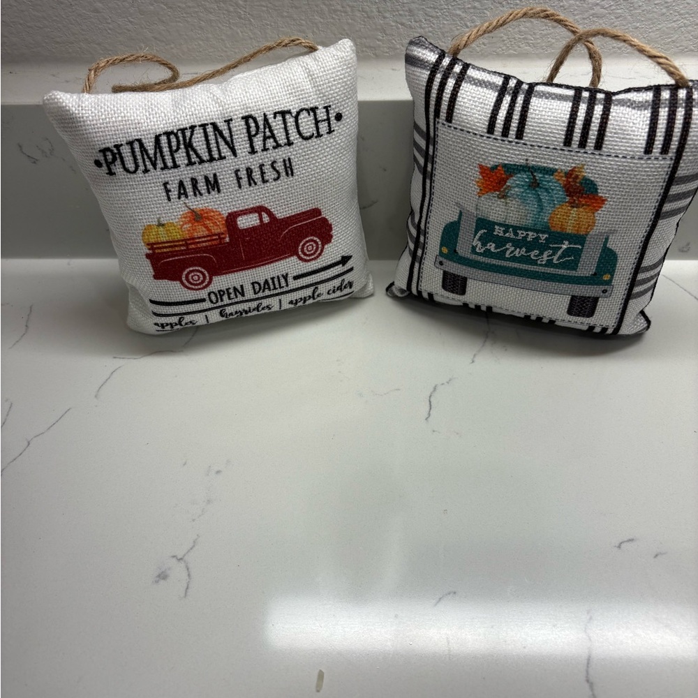 Set of Two Fall Themed Decorative Pillows